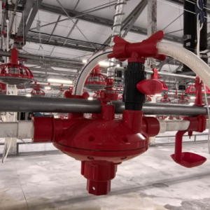 Регулятор давления - Птицеводство. Оборудование Kaleter для промышленного содержания птицы.