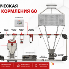 Автоматические системы кормления - Оборудование для промышленного содержания свиней и птицы. Оборудование для переработки овощей и фруктов