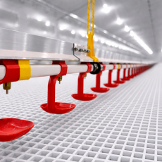 1.	Ниппельная линия поения - Птицеводство. Оборудование Kaleter для промышленного содержания птицы. 