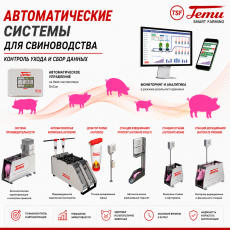 Автоматические системы для свиноводства - Оборудование для промышленного содержания свиней и птицы. Оборудование для переработки овощей и фруктов