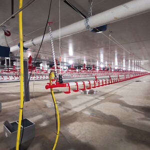 Концевой узел линии поения - Птицеводство. Оборудование Kaleter для промышленного содержания птицы. 