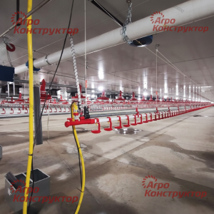 Концевой узел линии поения - Птицеводство. Оборудование Kaleter для промышленного содержания птицы. 