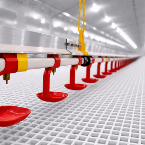 1.	Ниппельная линия поения - Птицеводство. Оборудование Kaleter для промышленного содержания птицы. 