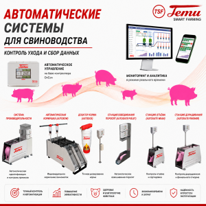 Автоматические системы для свиноводства - Temu Оборудование для промышленного содержания свиней и птицы. Оборудование для переработки овощей и фруктов