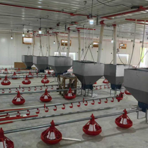 Кормовой бункер - Птицеводство. Оборудование Kaleter для промышленного содержания птицы. 