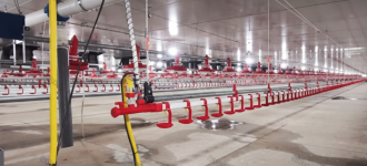 Концевой узел линии поения - Птицеводство. Оборудование Kaleter для промышленного содержания птицы. 