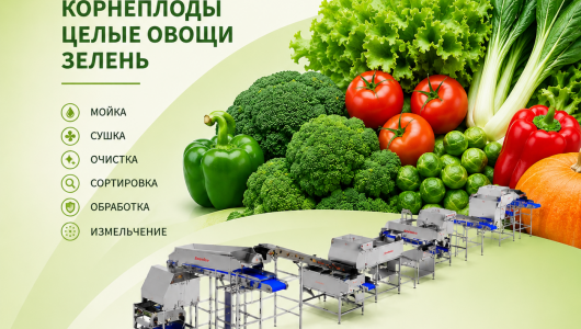 Оборудование для обработки овощей, фруктов, салатов - Оборудование для промышленного содержания свиней и птицы. Оборудование для переработки овощей и фруктов