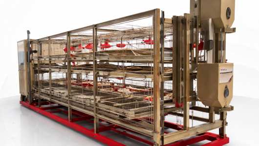 Клеточное оборудование - Птицеводство. Оборудование Kaleter для промышленного содержания птицы. 