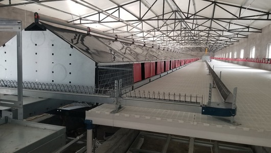 Гнезда для кур - Птицеводство. Оборудование Kaleter для промышленного содержания птицы. 