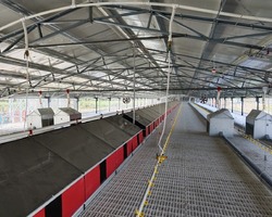 Гнезда для кур - Птицеводство. Оборудование Kaleter для промышленного содержания птицы. 