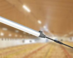 Освещение для птицефабрик - Птицеводство. Оборудование Kaleter для промышленного содержания птицы. 