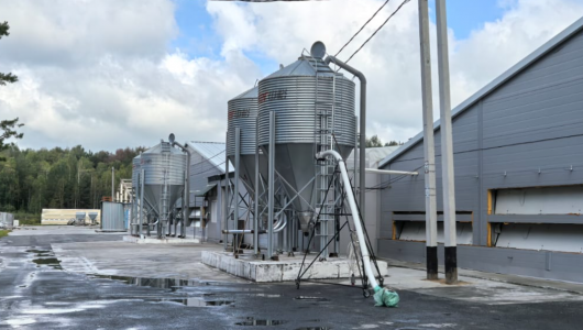 Птицеводство. Российские проекты